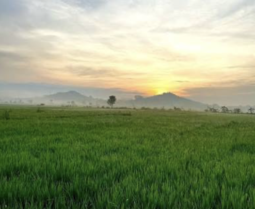 Menikmati Suasana Pagi di Titik Nol Trawas